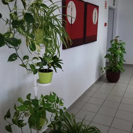 Ciw Vandrarhem